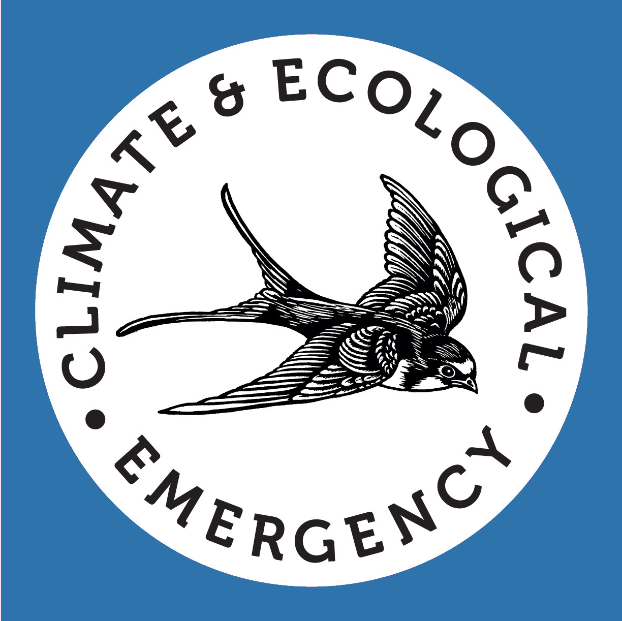 Culture Declares Emergency Logo